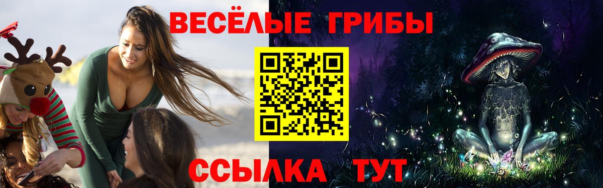Псилоцибиновые грибы прущие грибы Ноябрьск
